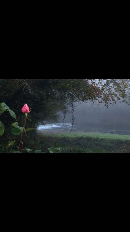 Riverside Stay Gunnislake Eksteriør billede